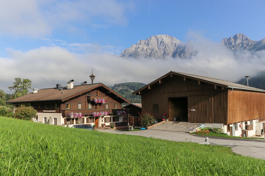 Leogang Bauernhof Sommer Ferien 3886