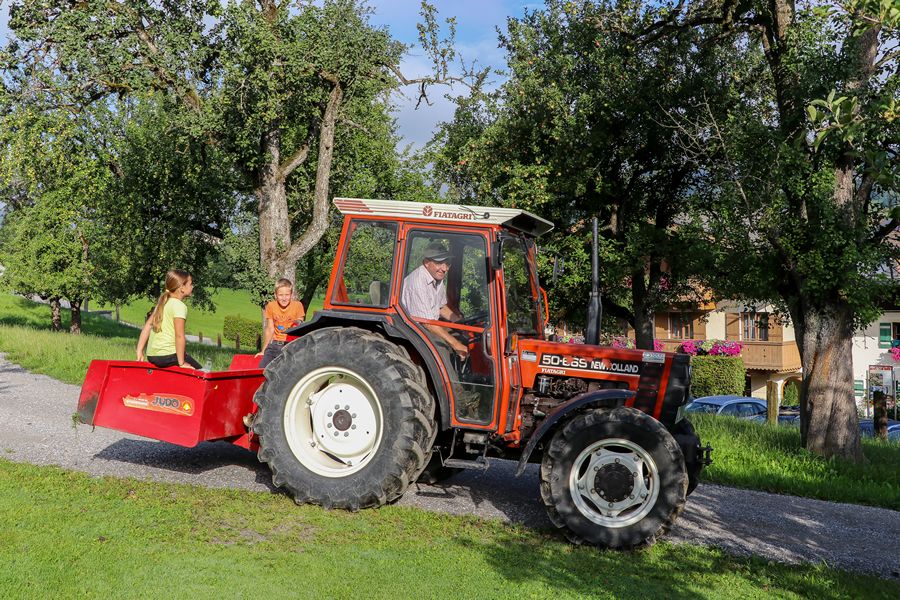 Leogang Bauernhof Sommer Ferien 3916