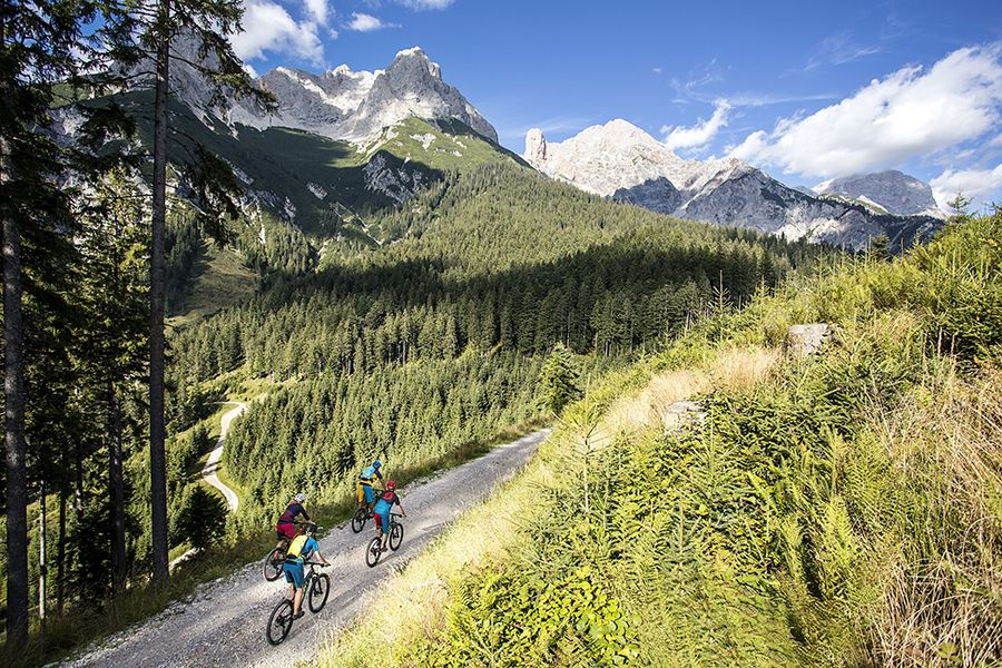 Mountainbike Weg