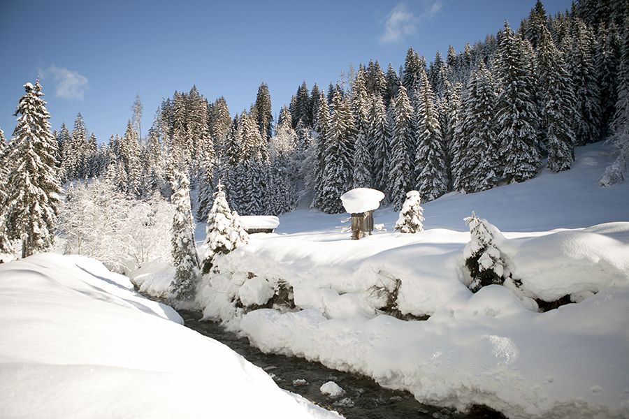 Winterlandschaft 1